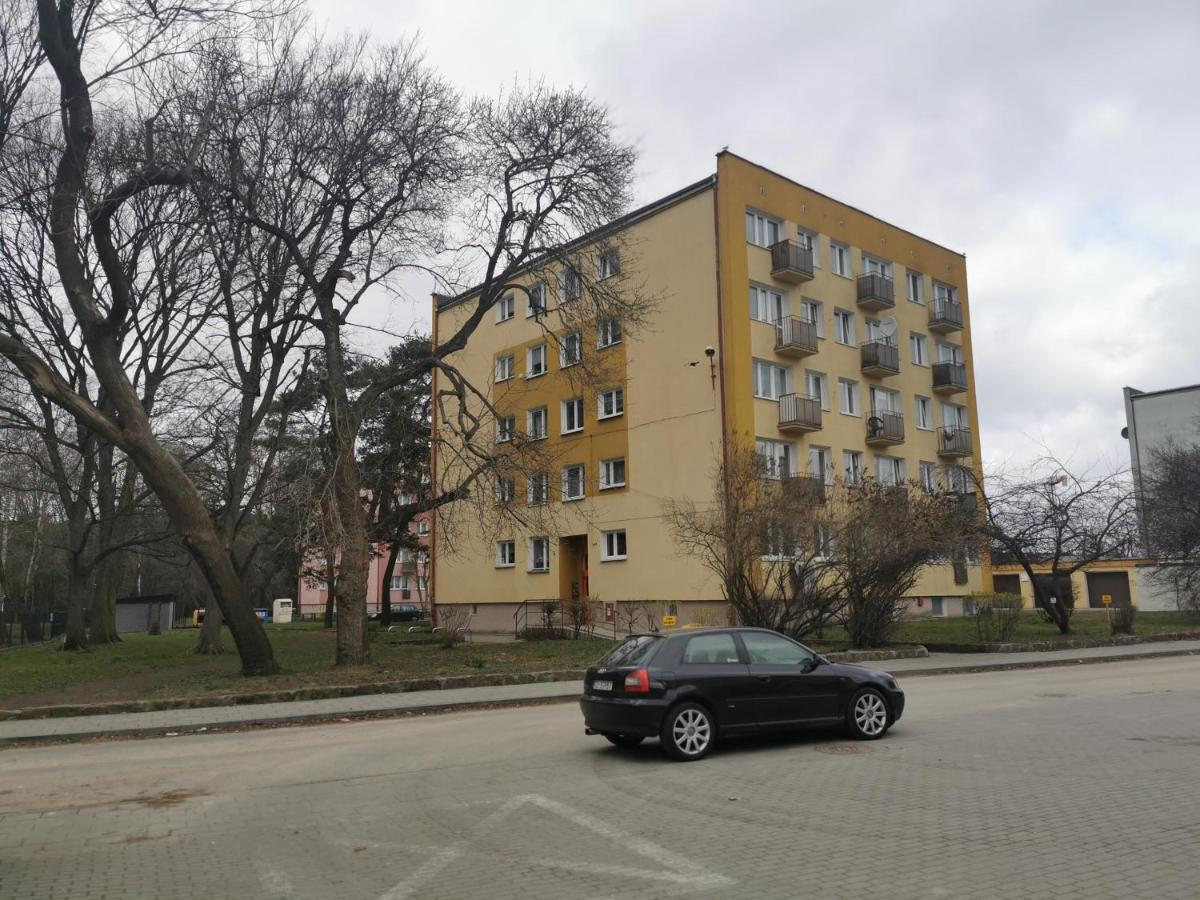 Mieszkanie Brzezno Przy Plazy Leilighet *